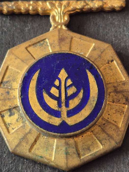 SADF Pro Patria Medal 10430