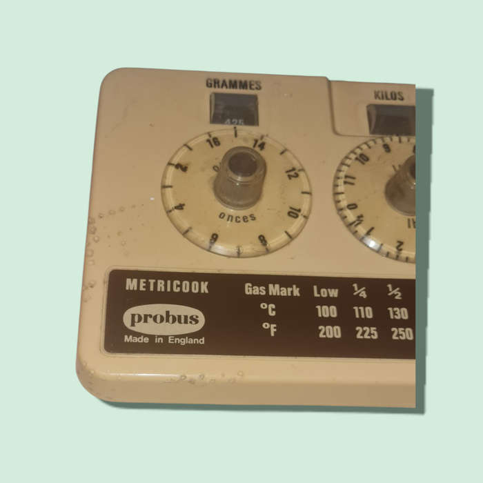 Vintage Metricook Probus