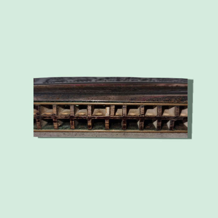Hohner Echo Harp