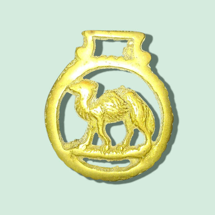 Vintage Horse Brass Camel Medallion Harness Ornament