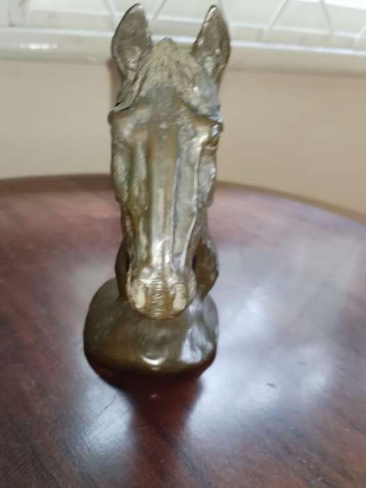 Bronze Horse's Head by Douglas Gray