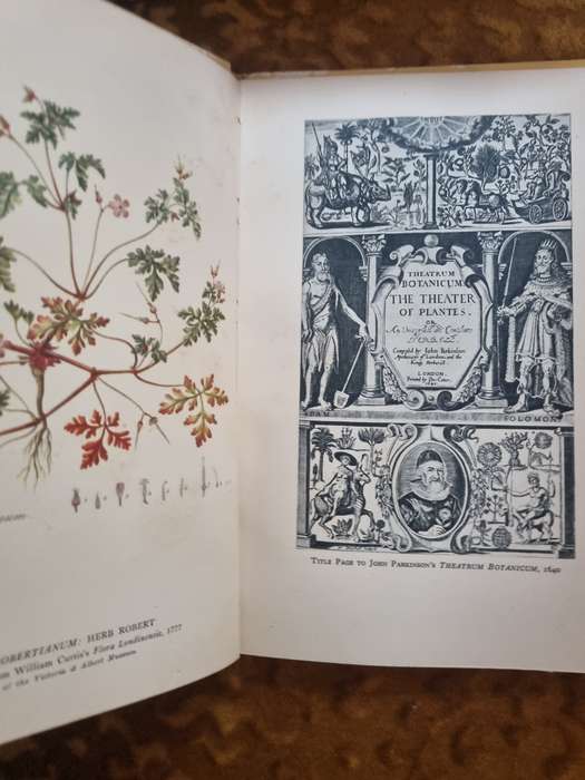 British Botanists - John Gilmour