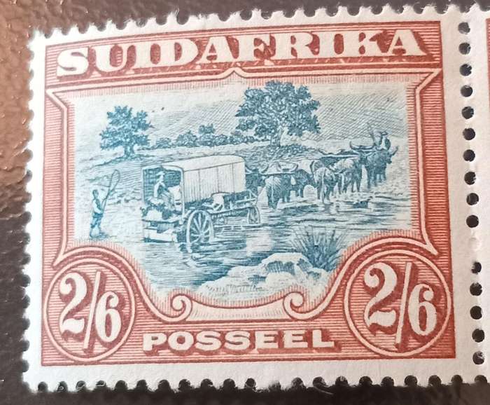 Union of SA, 2s 6d Pair, MNH, #50d, Slate greenish gray and brown, CV R5000+(scarce shade)