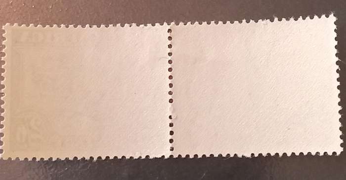 Union of SA, 2s 6d Pair, MNH, #50d, Slate greenish gray and brown, CV R5000+(scarce shade)