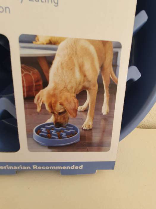 Outward Hound Fun Feeder Dog Bowl