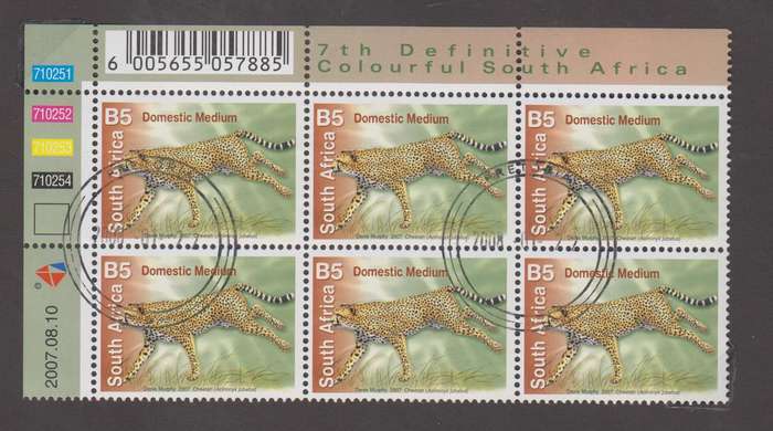 RSA - 2007 7TH DEFINITIVE B5 Cheetah -Pretoria CTO Control Block (SACC 1838)