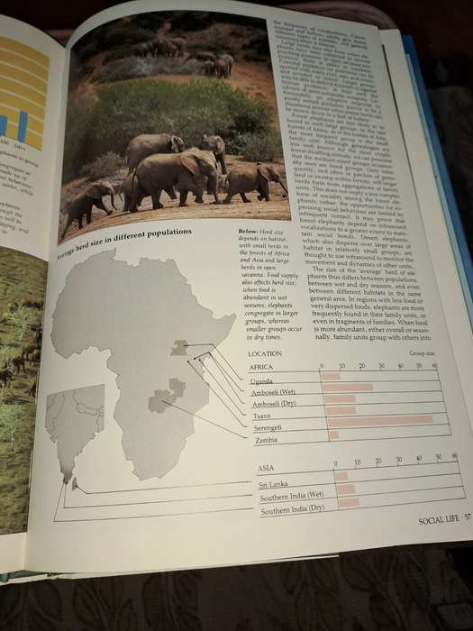 Illustrated Encyclopedia of Elephants, 188 pages