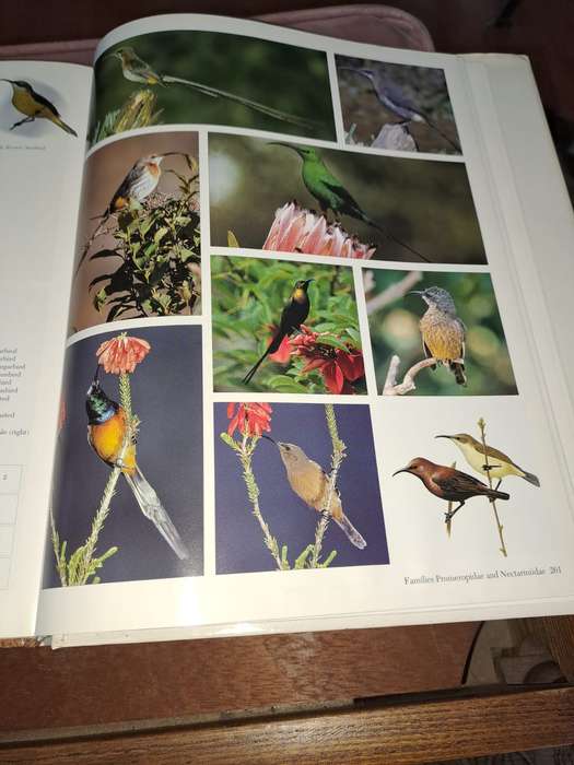 Birds of Southern Africa, photographic guide, 302 pages