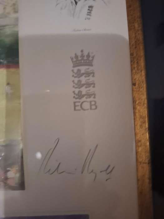 3rd Cricket Test, Newlands 2010, Limited edition print by Richie Ryall (signed) no 293/300