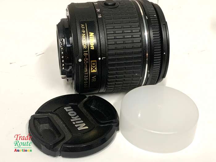 Nikon AF-P DX NIKKOR 18-55mm f/3.5-5.6G Lens