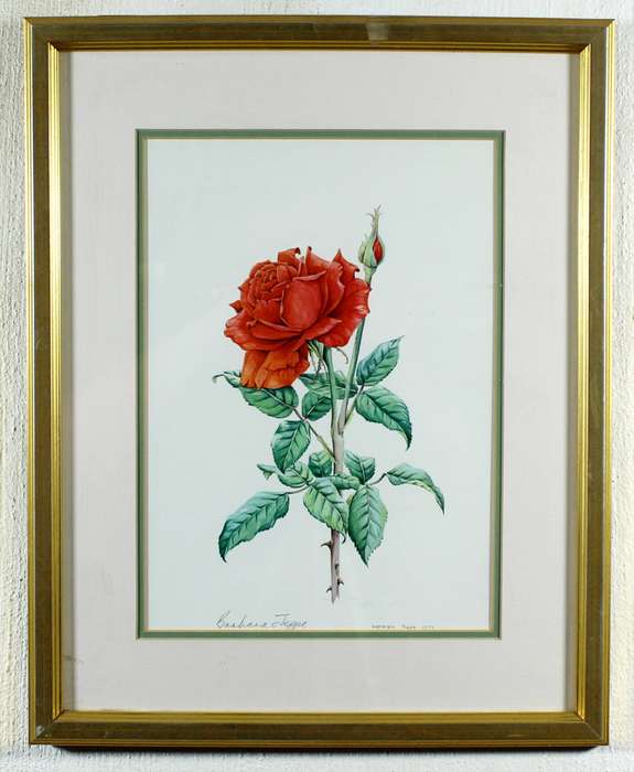 Barbara Jeppe - Rose still life