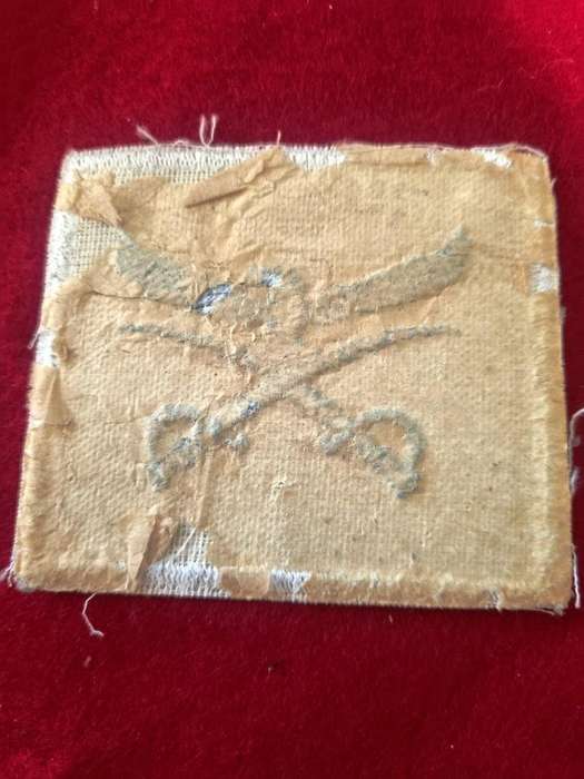 SAAF PTI Cloth Badge