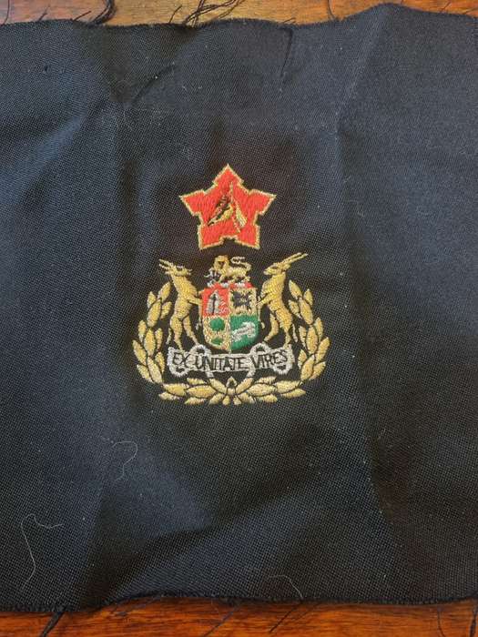 SADF Sergeant Major of the Army Blazer Badge