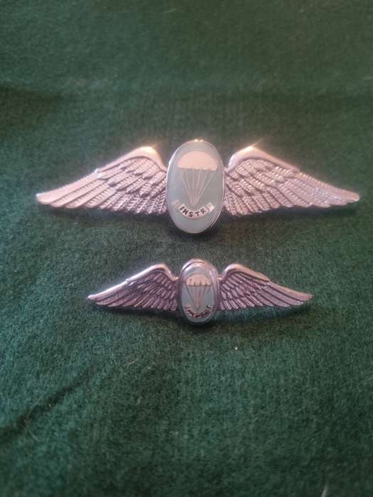 Set of SADF Instruction Parachute Wings (Large and Mess dress)