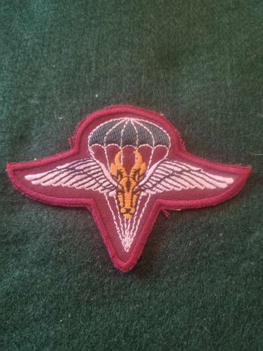 1 Parachute Battalion Cloth Beret Badge - Note it has a stitched Rim Not sure if a copy or not