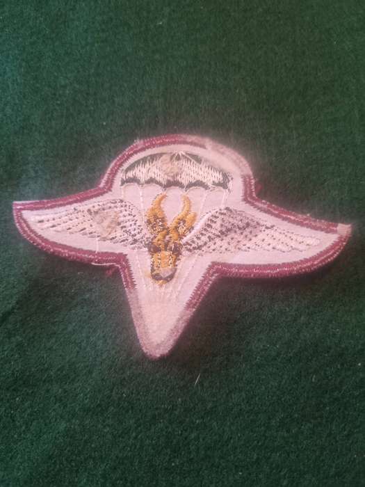 1 Parachute Battalion Cloth Beret Badge - Note it has a stitched Rim Not sure if a copy or not