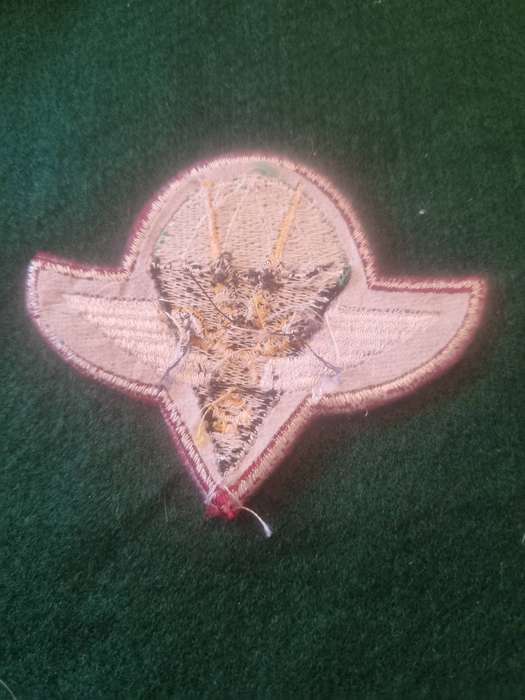 SWATF Cloth Parachute Battalion Beret Badge - note it has a rim not sure if copy or not