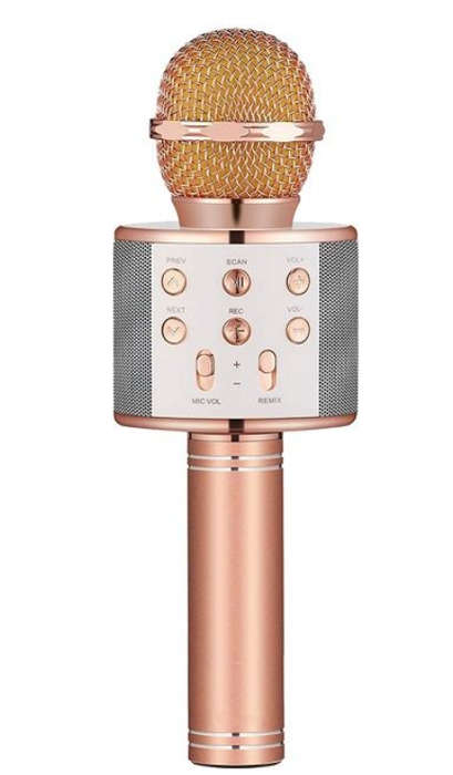 Wireless Microphone Karaoke Speaker For Smartphones - Gold