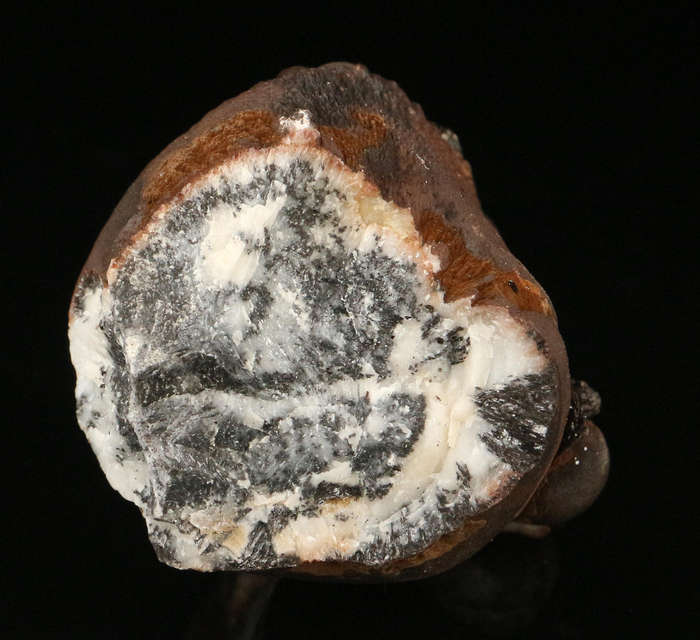 Goethite Cluster, "N'Chwaning II Mine, Kalahari Manganese Field, Northern Cape, South Africa "