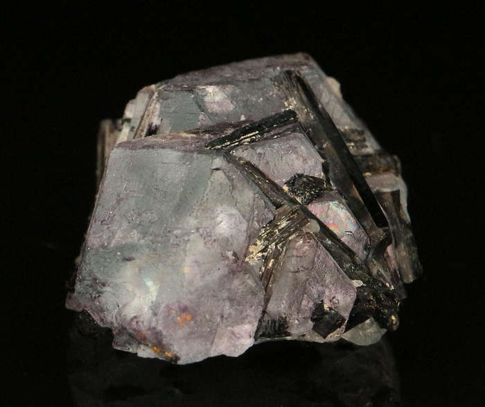 Schorl on FluoriteErongo, Mnt Region, Namibia