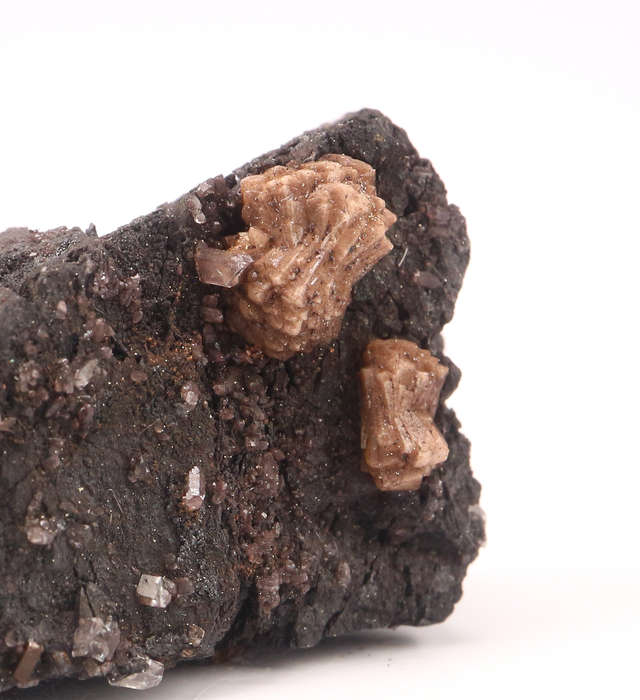 Olmiite on Matrix, N'Chwaning II, Northern Cape, South Africa