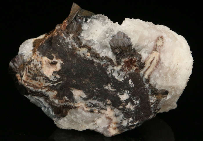 Calcite on Goethite, "N'Chwaning II Mine, Kalahari Manganese Field, Northern Cape, South Africa "