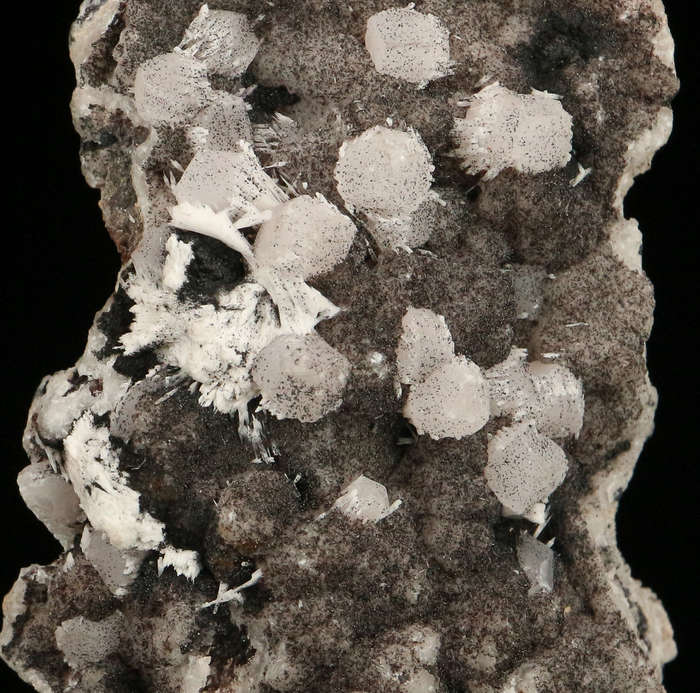 Calcite on Matrix, "N'Chwaning II Mine, Kalahari Manganese Field, Northern Cape, South Africa "