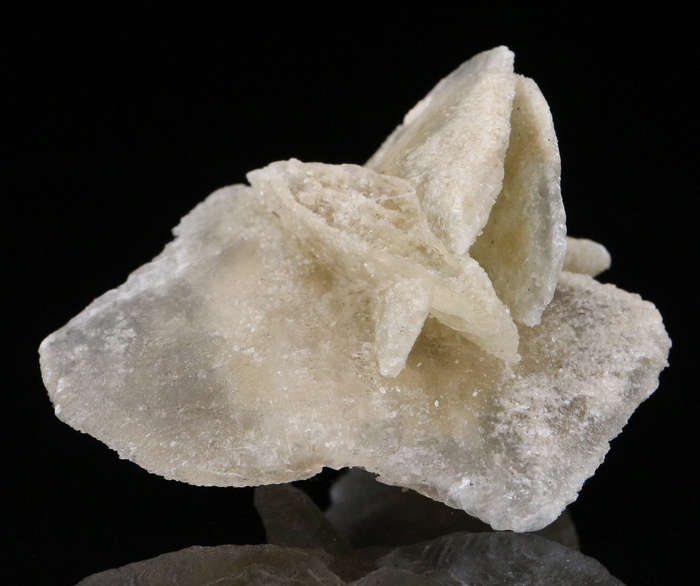 Desert Rose, Namibia