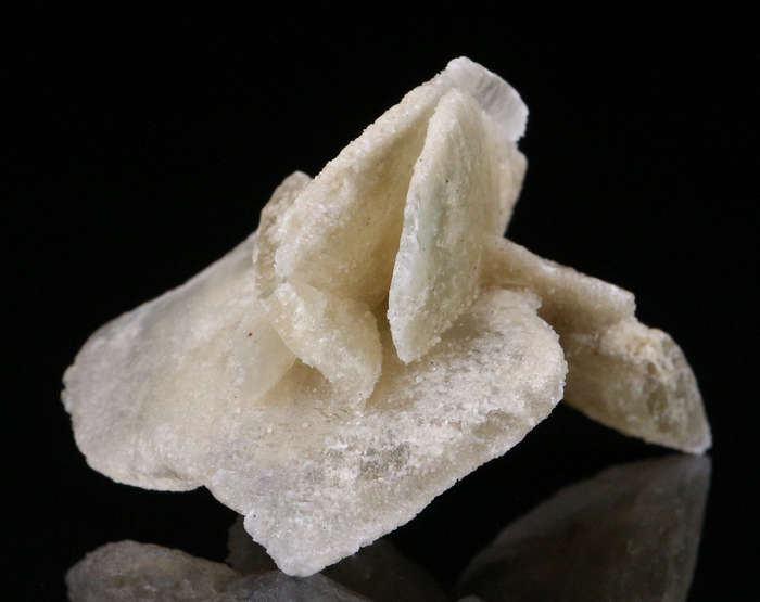 Desert Rose, Namibia