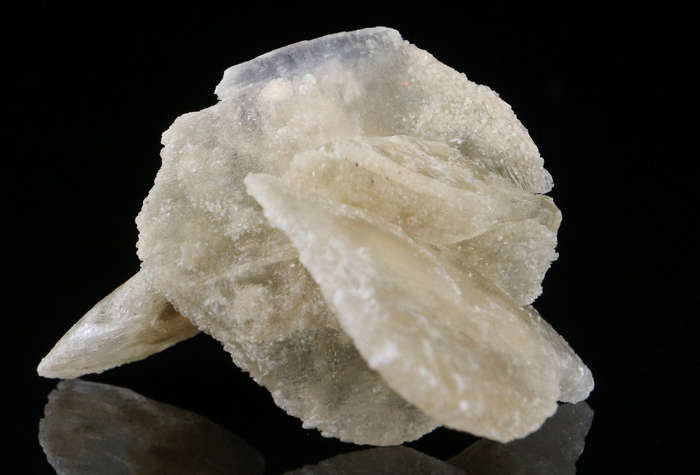 Desert Rose, Namibia