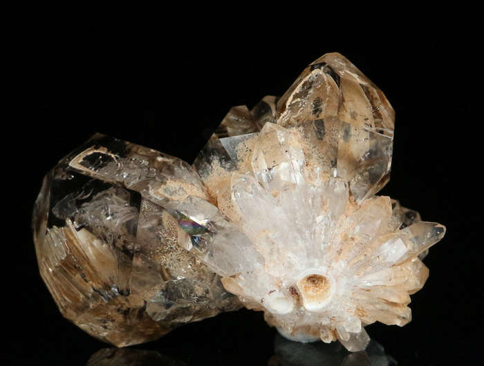 Smoky Quartz Cluster, Gobobosebberge Mnt, Namibia