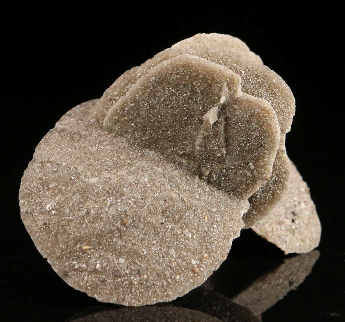 Desert Rose, Namibia