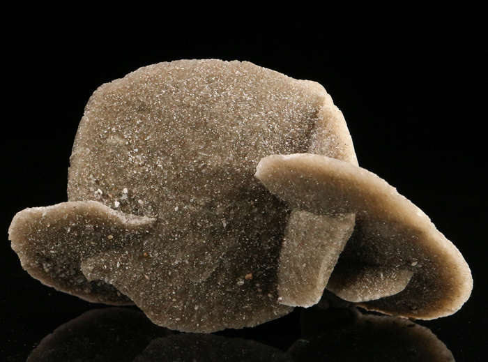 Desert Rose, Namibia