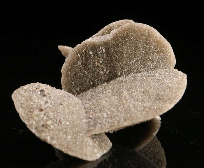 Desert Rose, Namibia