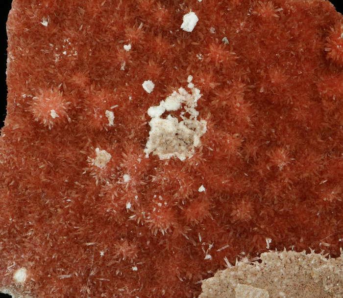 Inesite Plate, "N'Chwaning II Mine, Kalahari Manganese Field, Northern Cape, South Africa "