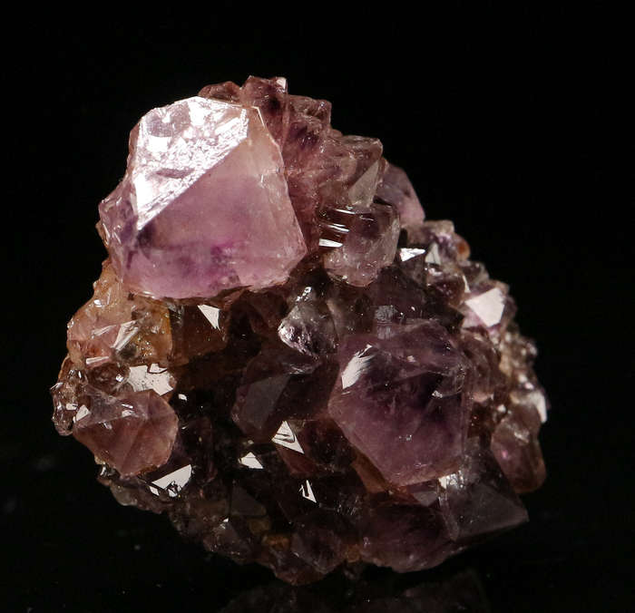 Amethyst/Smoky Cactus Quartz, Boekenhouthoek, South Africa