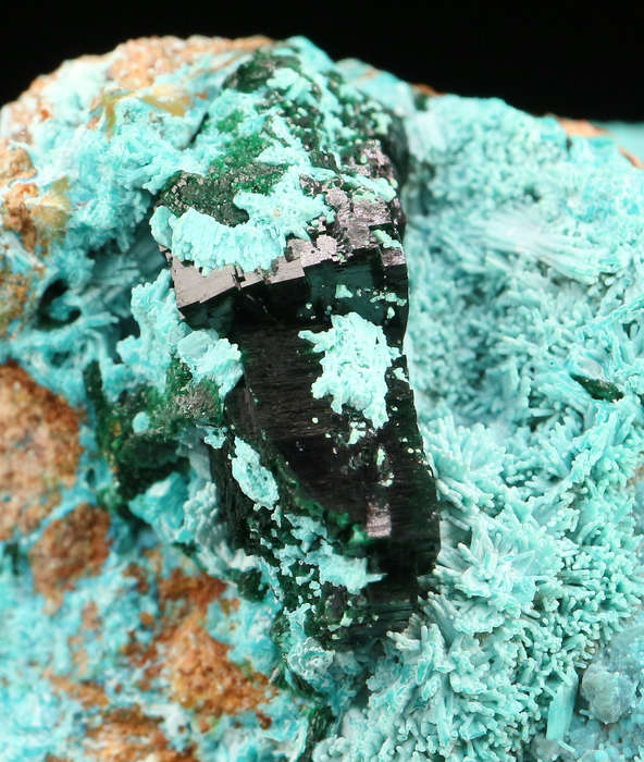 Malachite on Chrysocolla, Tenke Fungurume, DR Congo