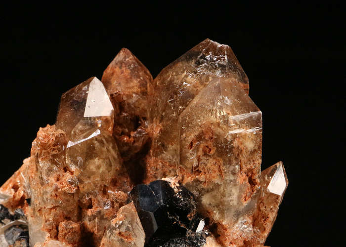 Schorl on Smoky Quartz Cluster, Erongo Mnt, Erongo Region, Namibia.