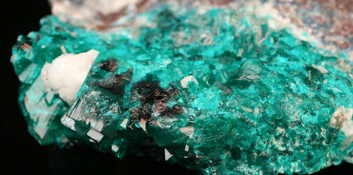 Dioptase on Matrix, Tantara Mine, DRC