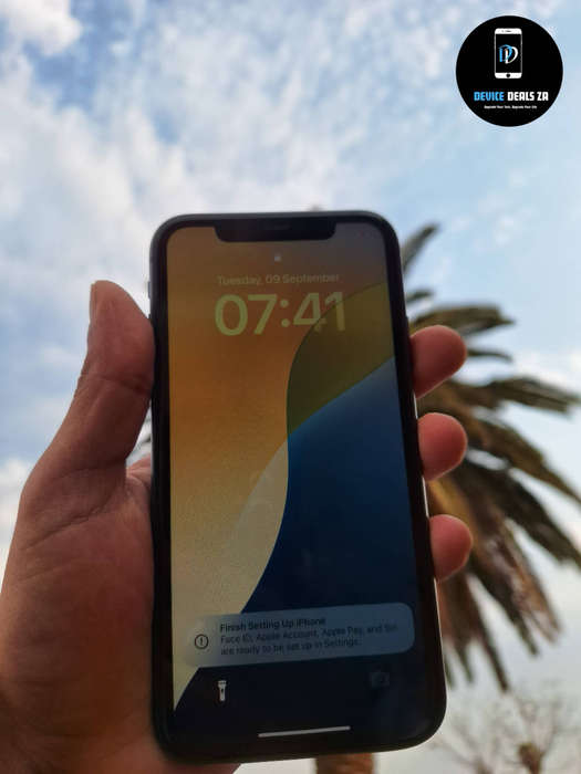 iPhone 11
