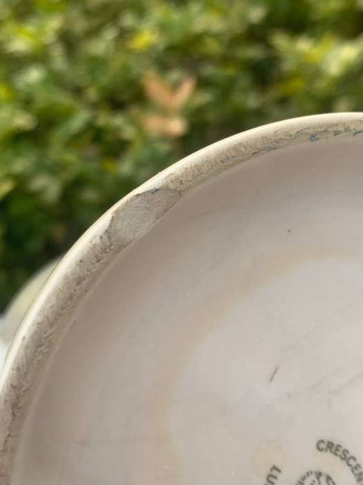 Crescent Ware Ceramic Bar Mug  SA #Militaria - 4 Field Training Regiment - 2 x Barely Visible Chips