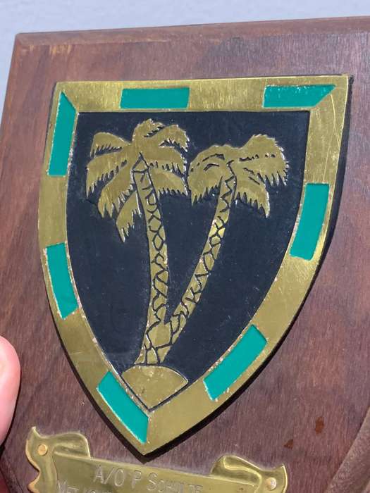 SA Defence Force  Wall Plaque  53 Battalion #Militaria
