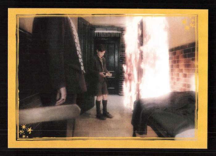 Panini Stickers Harry Potter and the Half-Blood Prince 120