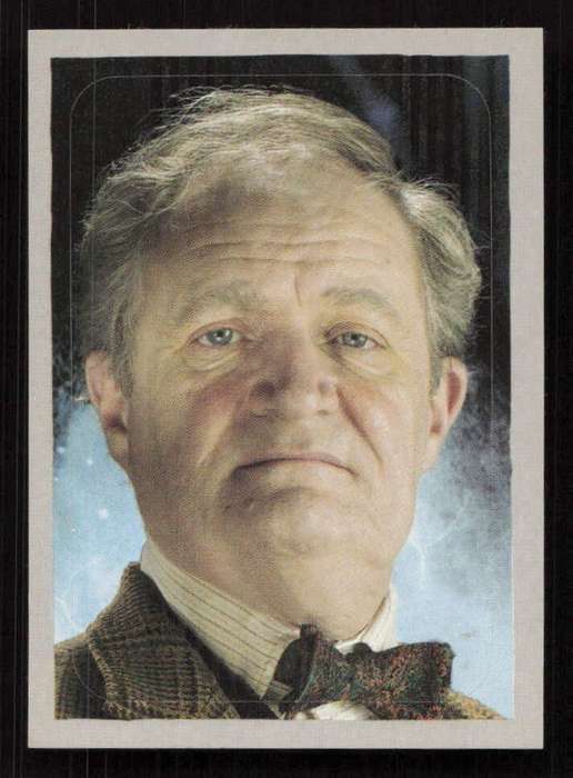 Panini Stickers Harry Potter and the Half-Blood Prince 213