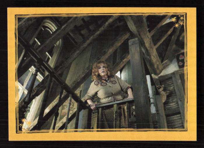 Panini Stickers Harry Potter and the Half-Blood Prince 311