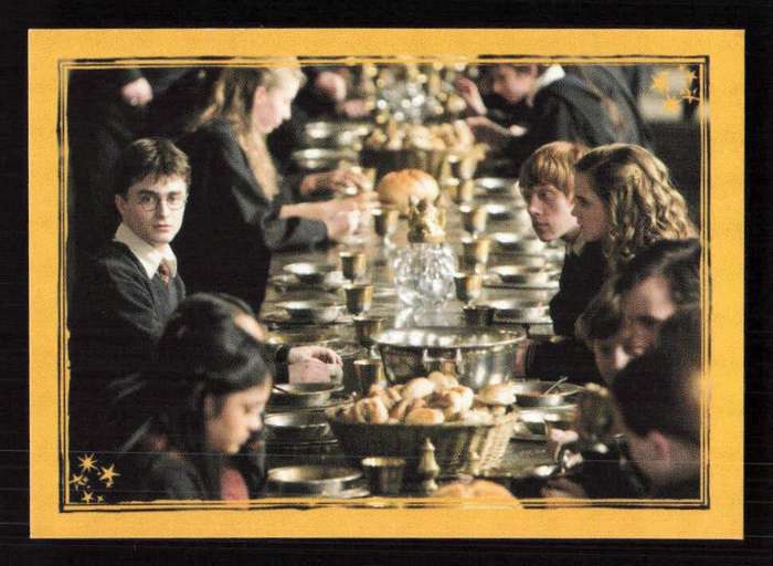 Panini Stickers Harry Potter and the Half-Blood Prince 355