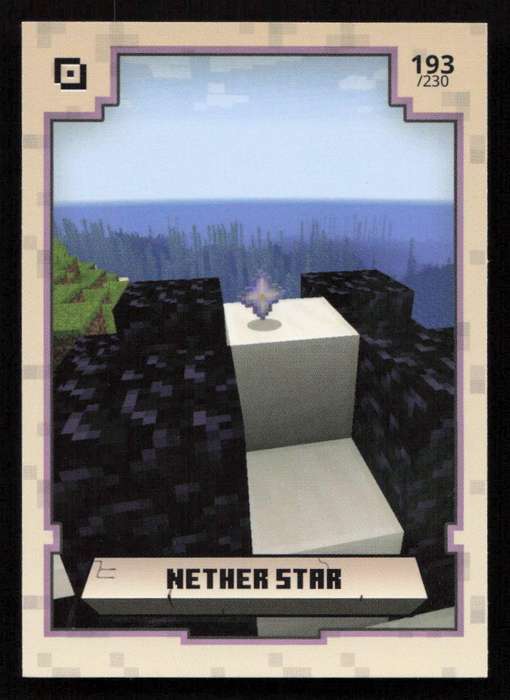 2020 Panini Minecraft Adventure 193/230
