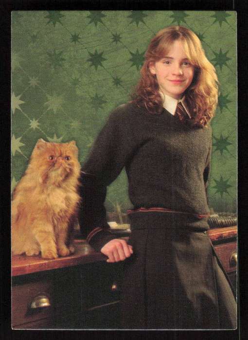 22 Panini Evolution Trading Cards - Harry Potter Card 40