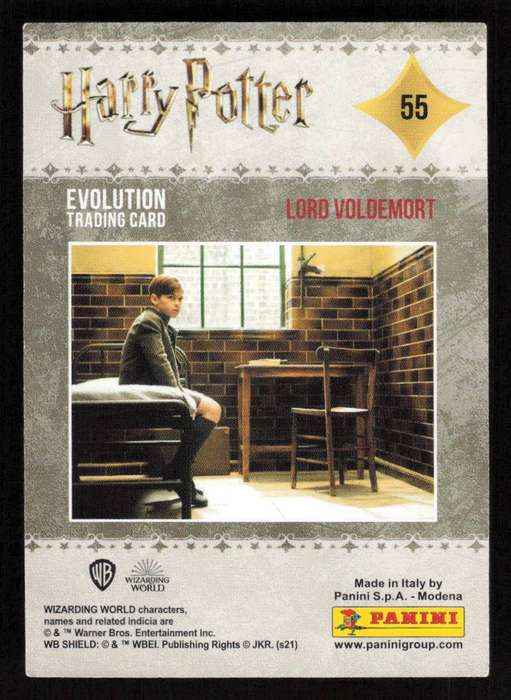 22 Panini Evolution Trading Cards - Harry Potter Card 55