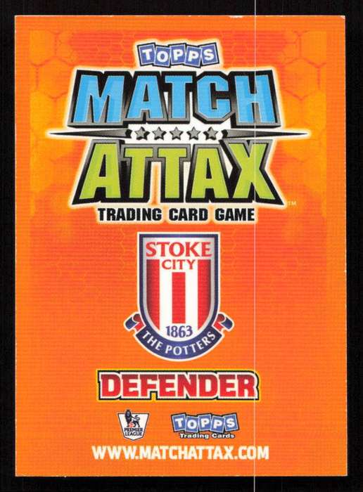 Topps Match Attax PL 2009/2010 - Stoke City - Danny Higginbotham